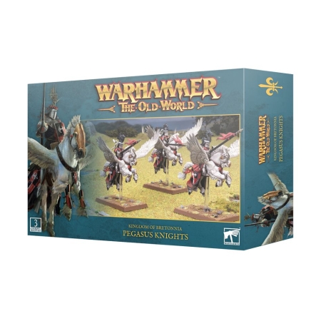 BRETONNIA Pegasus Knights Box